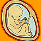 Fetal Kick Count 圖標
