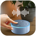 Voice Command For Alex