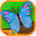 Forest Adventure for Kids
