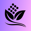Экообменник APK