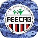 Feecab APK