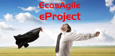 eProject Timesheet & Projects