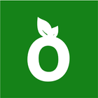 EcoSafe アイコン
