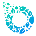 EcoWheel Rider