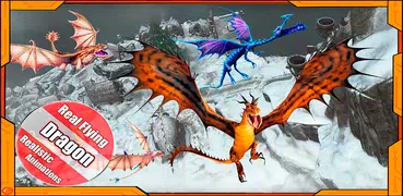 Flying Dragon Race 3d