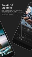 WolPepper - The Wallpapers App 截图 2