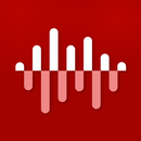Voice Recorder - Voice memos APK