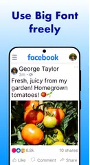 Big Font - Big Text Size XAPK download