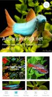 AquariumFish.net Plakat