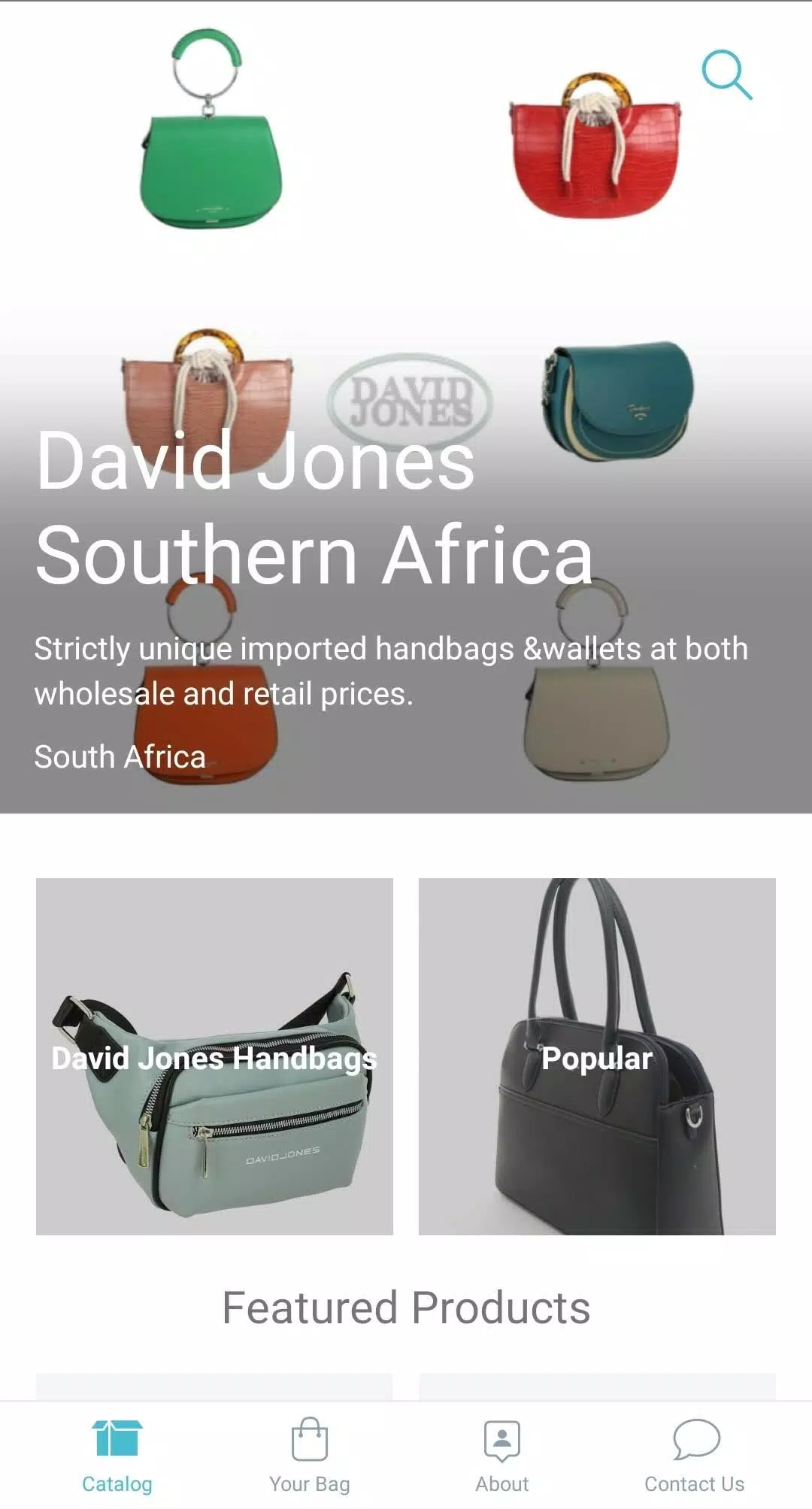 David Jones Southern Africa - The catalogue has been updated Bags that make  you speak French without even saying a word Contact Us for both  wholesale and retail prices! WhatsApp 0848538463 Land