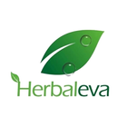 Herbaleva-icoon