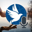 Edgar Cayce Reflections APK