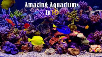 Amazing Aquariums In HD Plakat