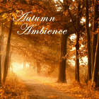 Autumn Ambience biểu tượng