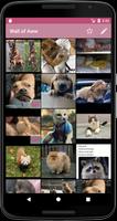 Wall of Aww постер