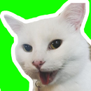 Lindos Stickers de Gato para W APK