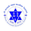 Shree Saraswati Sec. School