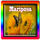 Nueva Mariposa icône