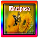 Nueva Mariposa Full HD APK