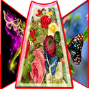 Mariposa Wallpaper APK