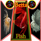 BettaFish Wallpaper icône