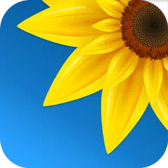 Gallery - Photos & Videos APK 下載