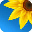 Gallery - Photos & Videos aplikacja