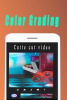 Cutte-cut-video poster