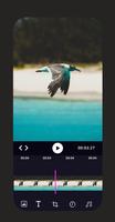 Pro Video Editor - Video Maker 截图 3