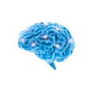 Brain Train Academy APK
