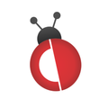 Code and Debug