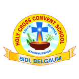 Holy Cross School Bidi