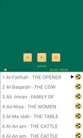 Quran - Chad imagem de tela 3