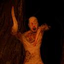 Isolation in the Forest APK