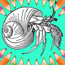 Hermit Crab Coloring Pages APK