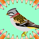 Sparrow Coloring Pages APK