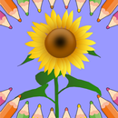 Sunflower Coloring Pages APK
