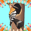 APK Woodpecker Coloring Pages