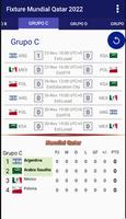 Fixture Mundial 截图 1