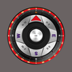 Smart Digital Compass Pro
