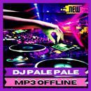 DJ Pale Pale Viral Tiktok Terbaru Offline APK