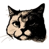 ChatWin APK