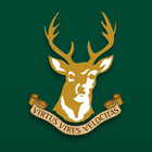 Ballynahinch RFC アイコン