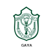DPS Gaya 圖標