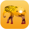 3DAR Wall@live APK
