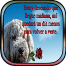 Amor a Distancia APK
