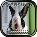 Frases Chistosas de Buenas noches, Graciosas... APK