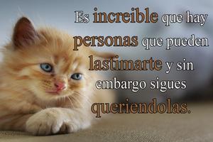 Frases Indirectas স্ক্রিনশট 2