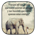 🐘Frases lindas de la vida 🐘 