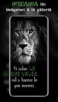 Frases Animo Positivas syot layar 2